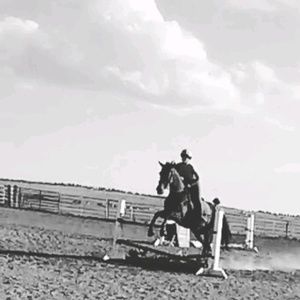 Meet your Posher, Tessa